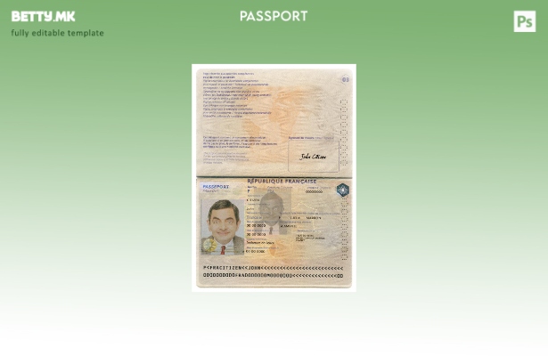 Шаблон за верзија на пасош на Франција во модерен стил